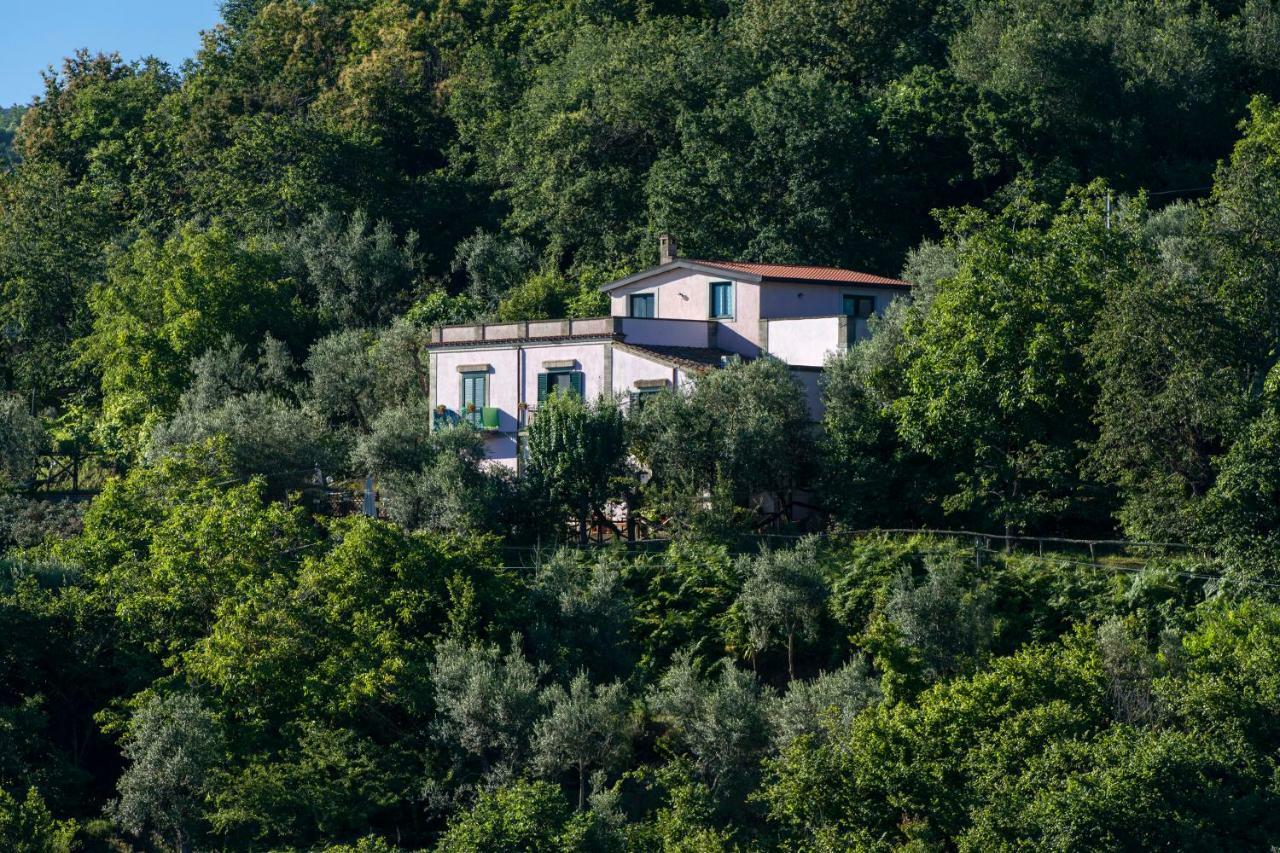 Il Casale Sorrento Otel Dış mekan fotoğraf