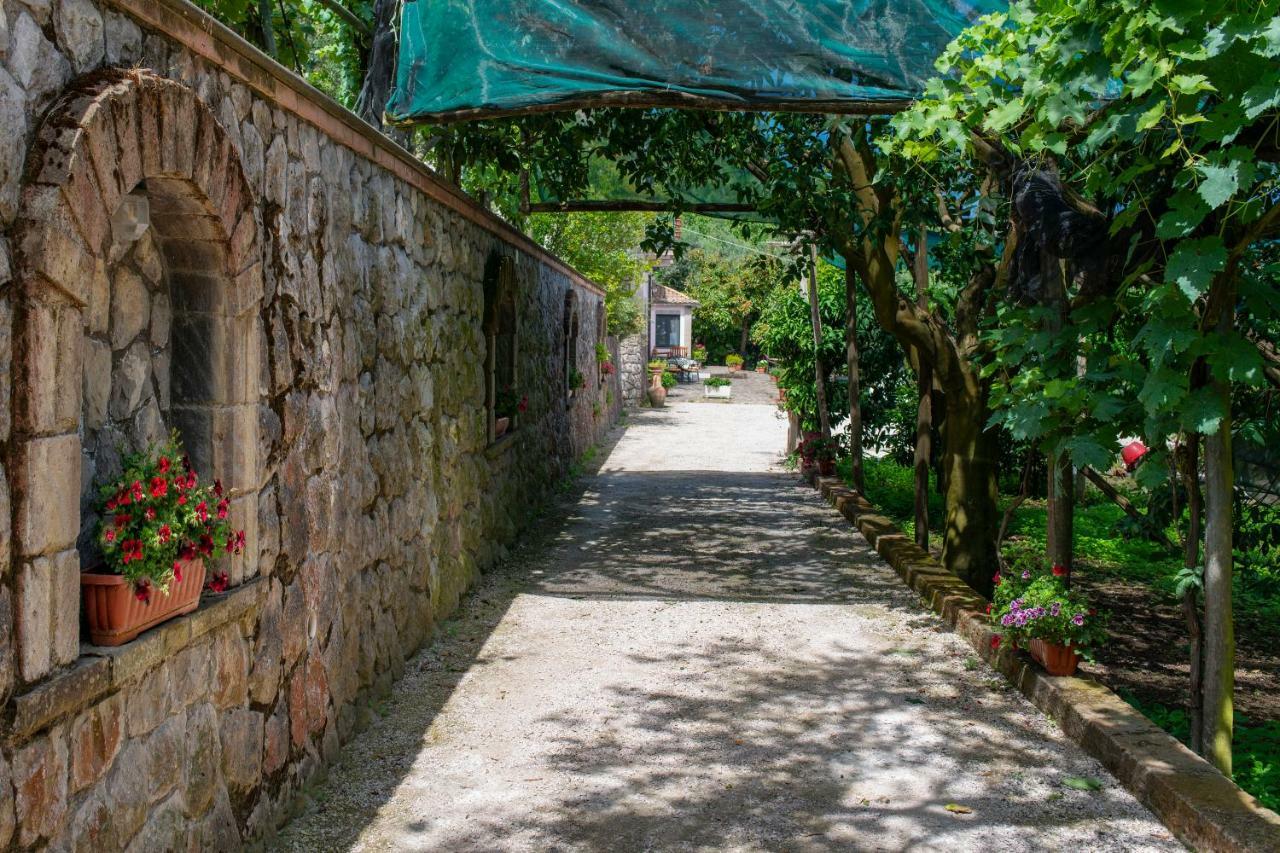 Il Casale Sorrento Otel Dış mekan fotoğraf